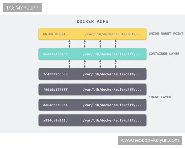 VAR技术应用反思：法甲执法标准统一之路